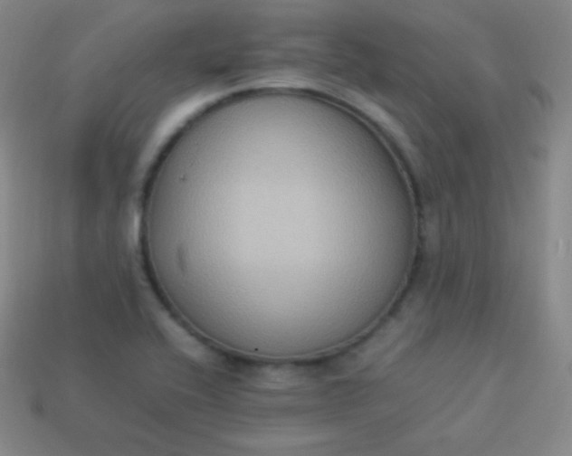 X0000113951416200910091559