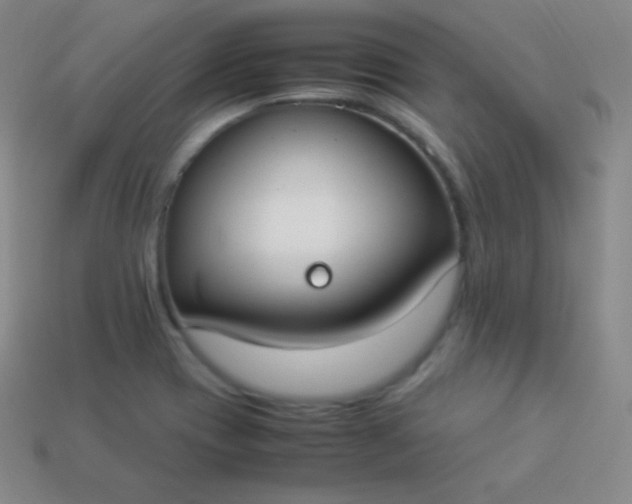 X0000113951417200910091559