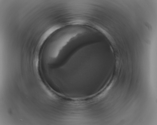 X0000113951418200910091559
