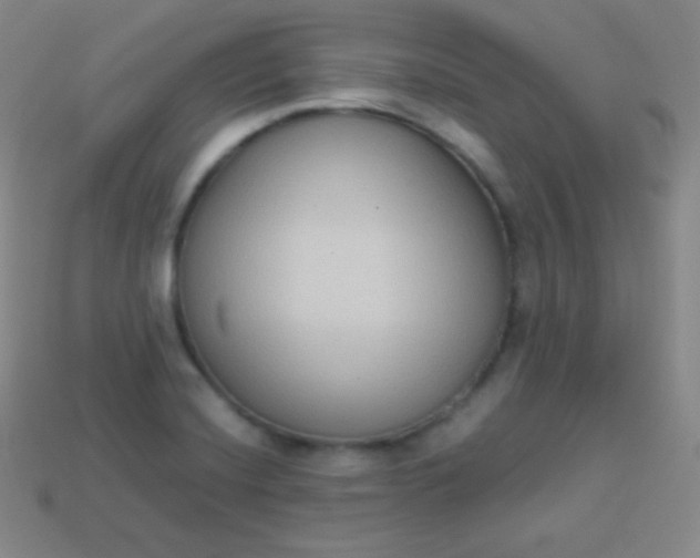 X0000113951420200910091559