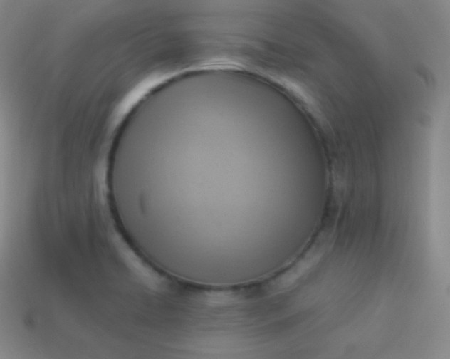 X0000113951422200910091559