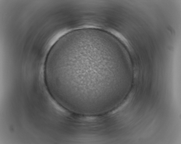 X0000113951423200910091559
