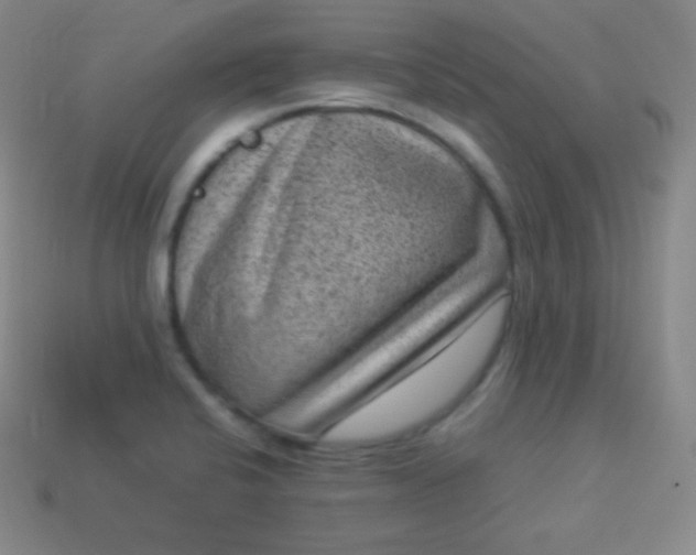 X0000113951424200910091559