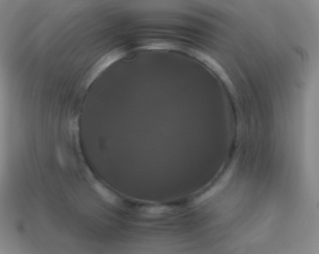 X0000113951425200910091559