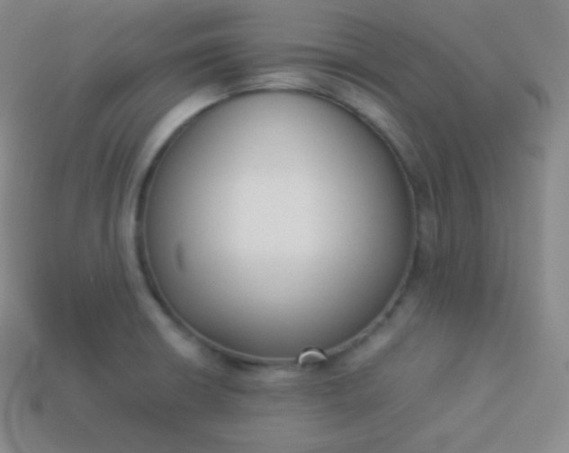 X0000113951426200910091559