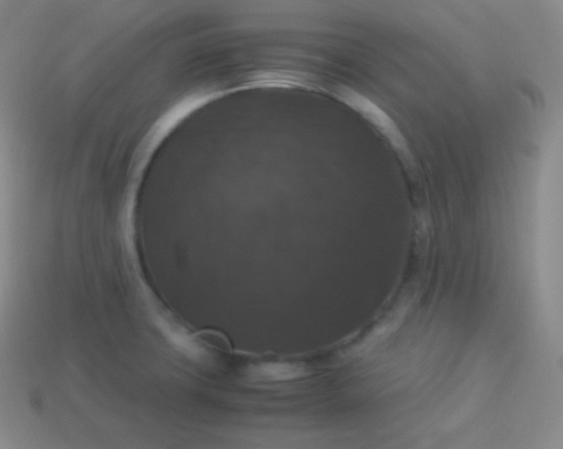 X0000113951427200910091559