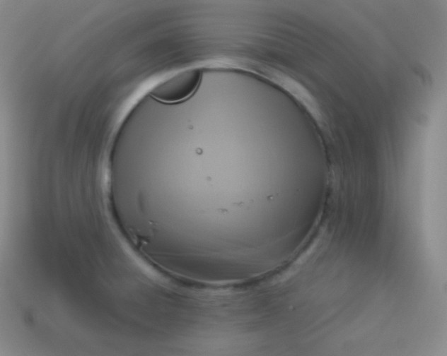 X0000113951428200910091559