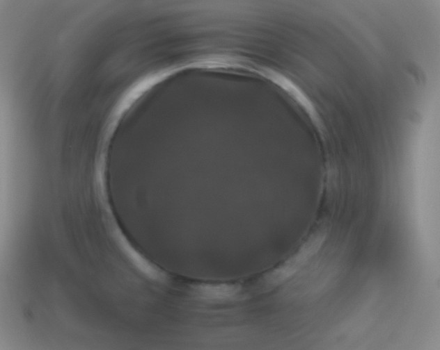 X0000113951429200910091559