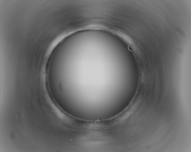X0000113951430200910091559