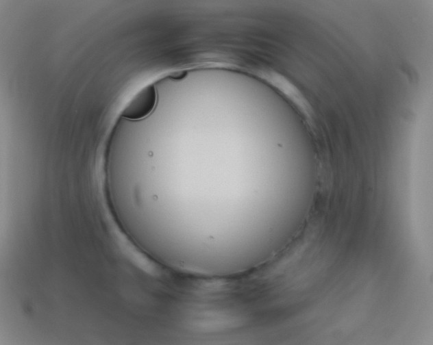 X0000113951431200910091559