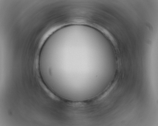 X0000113951432200910091559