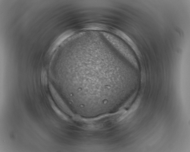 X0000113951433200910091559