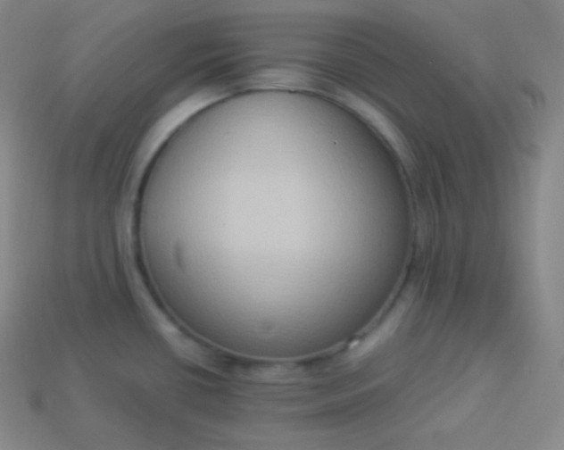 X0000113951434200910091559