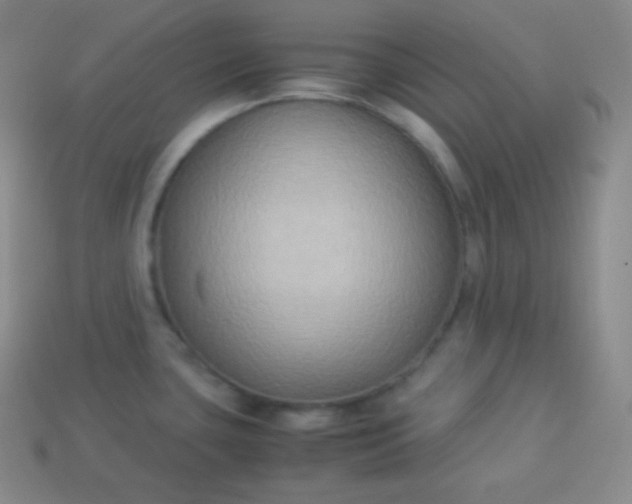 X0000113951435200910091559