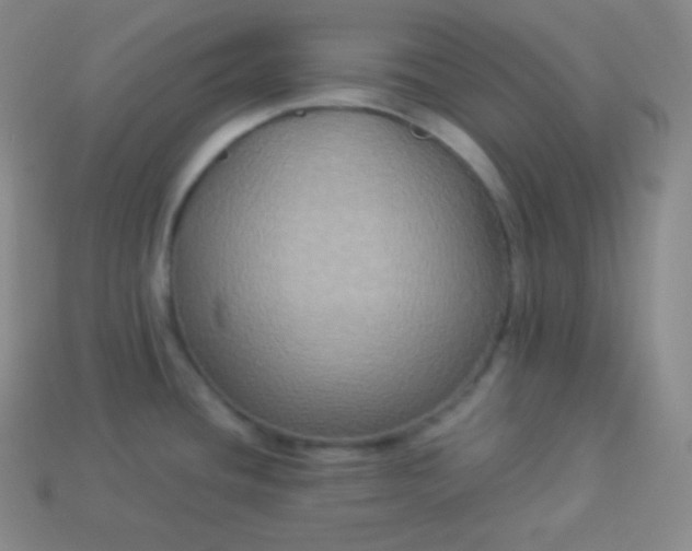 X0000113951436200910091559