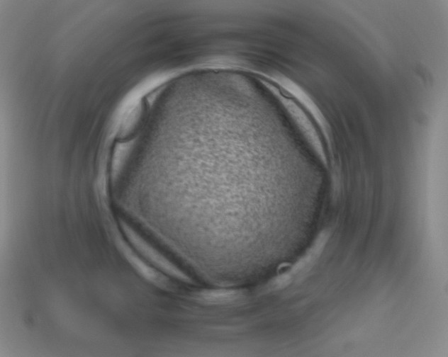 X0000113951437200910091559