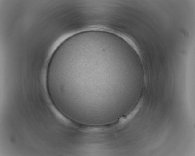 X0000113951438200910091559