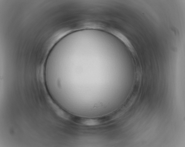 X0000113951439200910091559