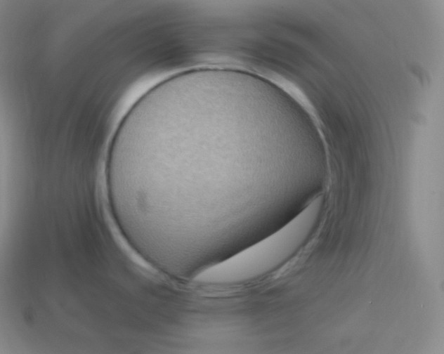 X0000113951440200910091559