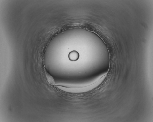 X0000113951441200910091558