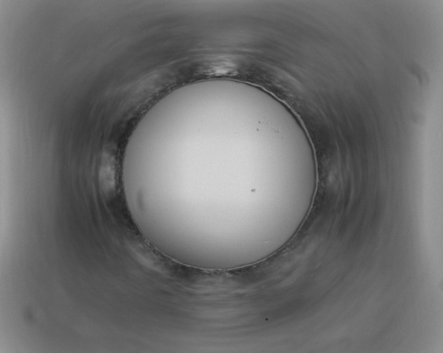X0000113951442200910091558