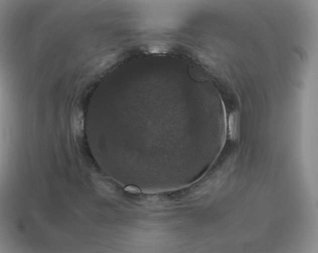 X0000113951443200910091558