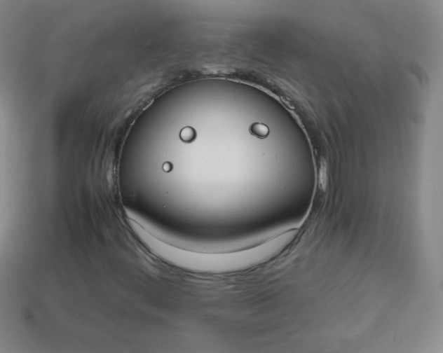 X0000113951444200910091558