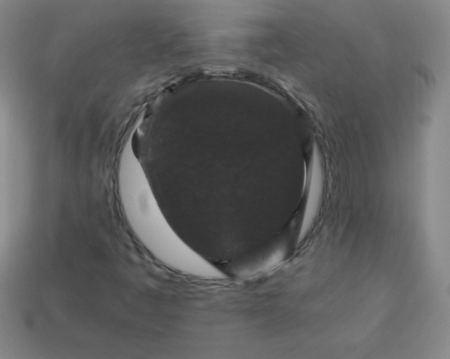 X0000113951445200910091558