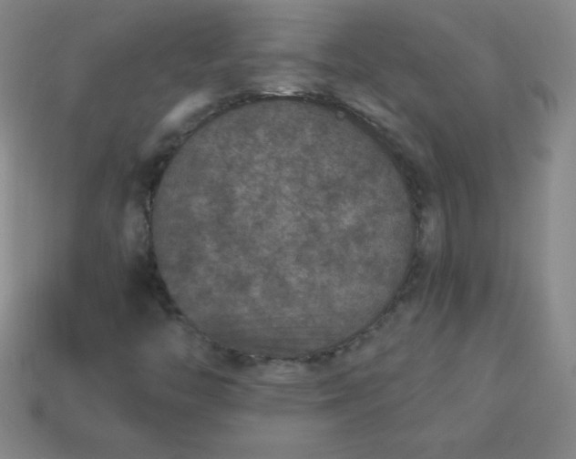 X0000113951446200910091558