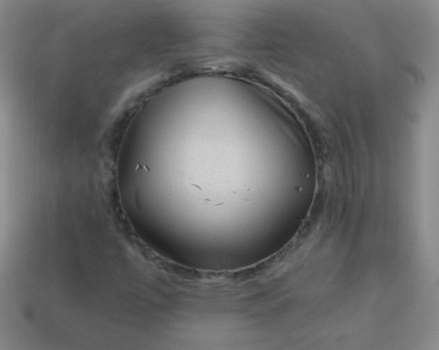 X0000113951447200910091558