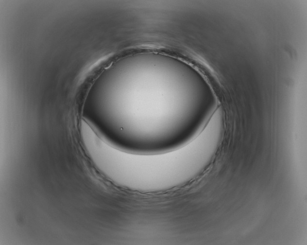X0000113951448200910091558