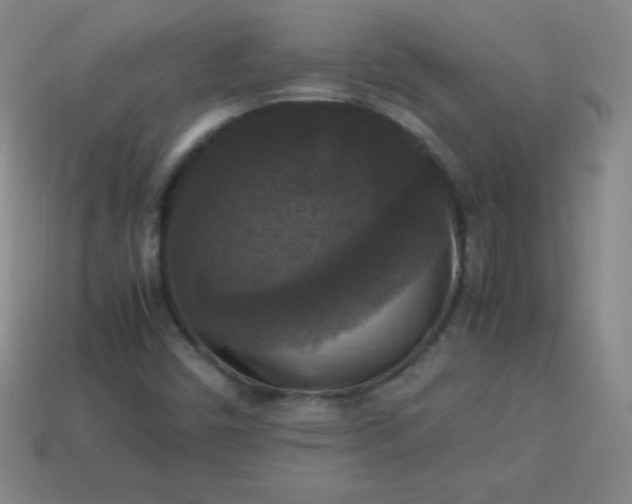 X0000113951450200910091558
