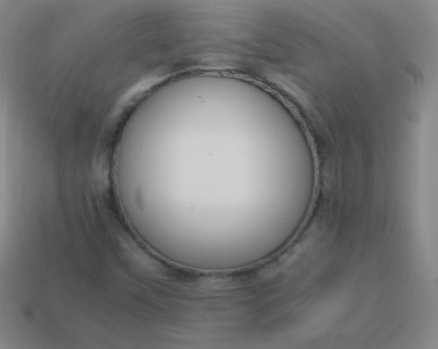 X0000113951451200910091558
