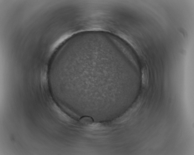 X0000113951452200910091558