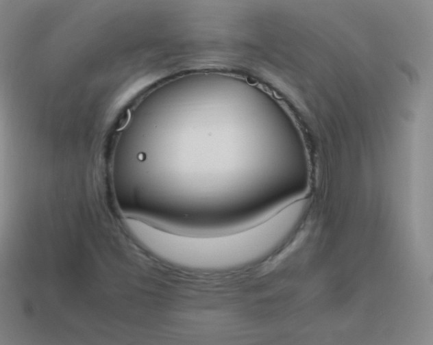 X0000113951453200910091558