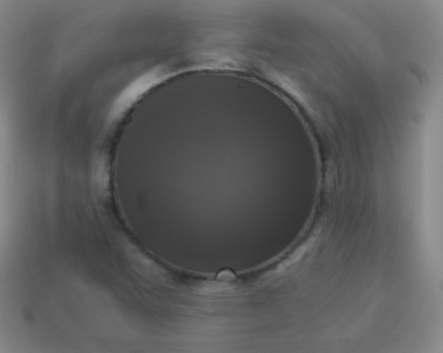 X0000113951455200910091558