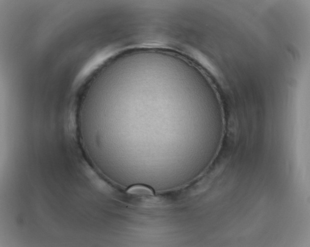 X0000113951456200910091558