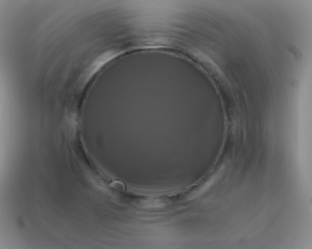 X0000113951457200910091558