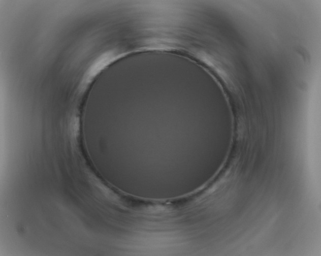 X0000113951459200910091558