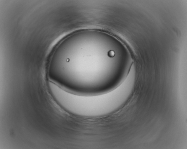 X0000113951460200910091558
