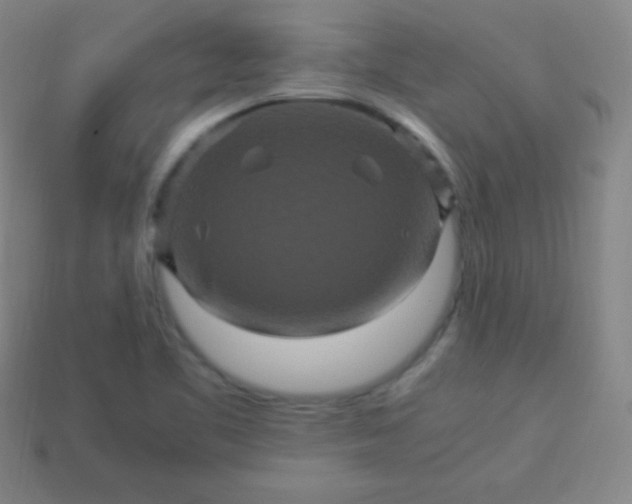 X0000113951461200910091558