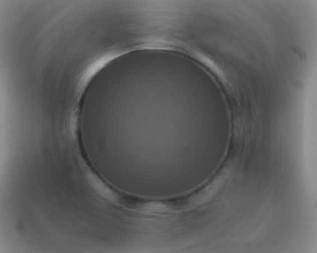 X0000113951463200910091558