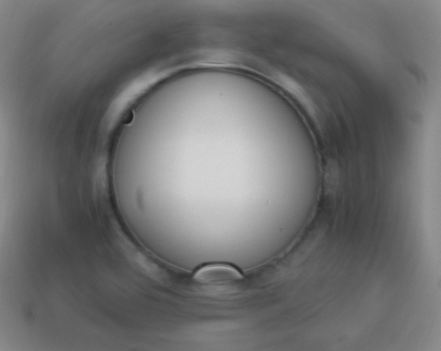 X0000113951464200910091558
