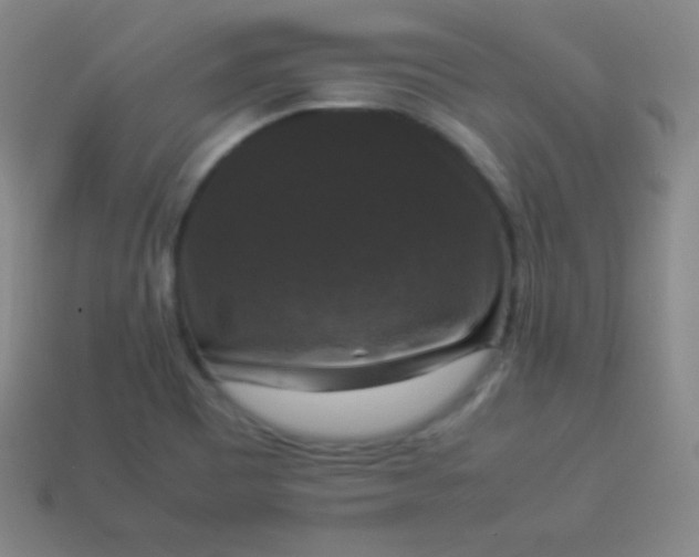 X0000113951465200910091558