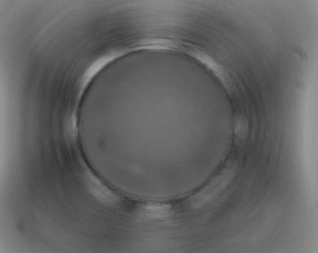 X0000113951466200910091558