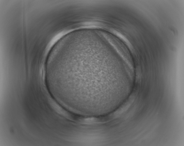 X0000113951467200910091558