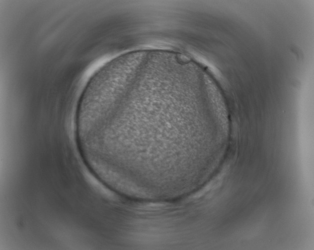 X0000113951471200910091558