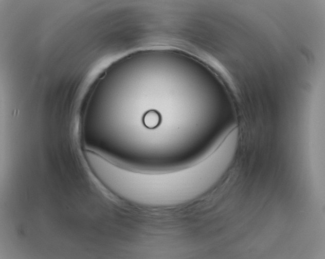 X0000113951472200910091558