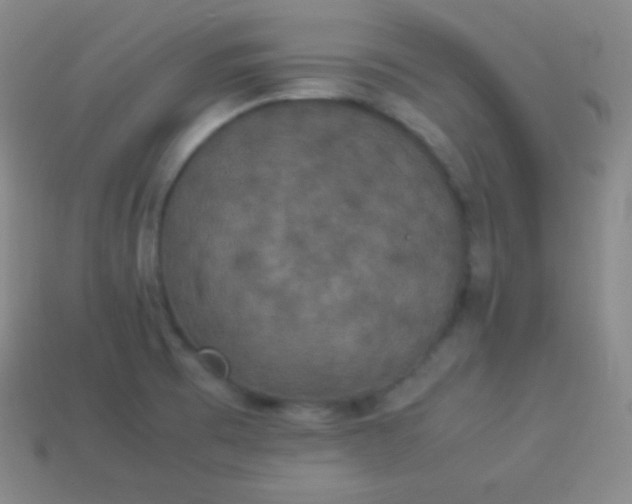 X0000113951473200910091558