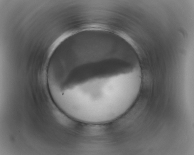 X0000113951474200910091558